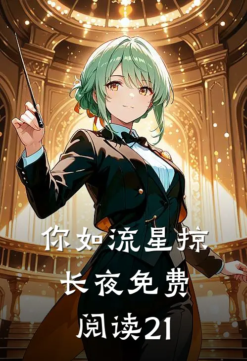 你如流星掠长夜免费阅读21