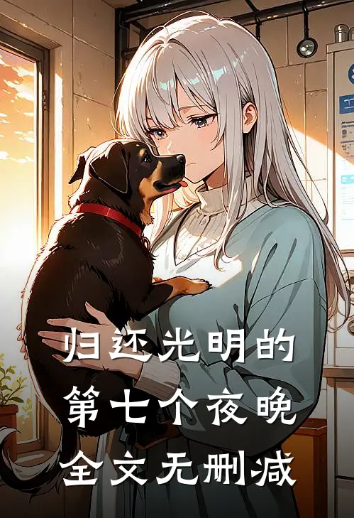 归还光明的第七个夜晚全文无删减