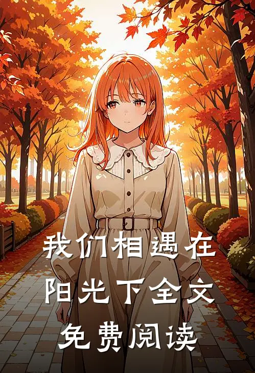 我们相遇在阳光下全文免费阅读