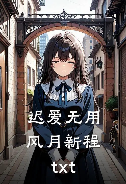 迟爱无用风月新程txt