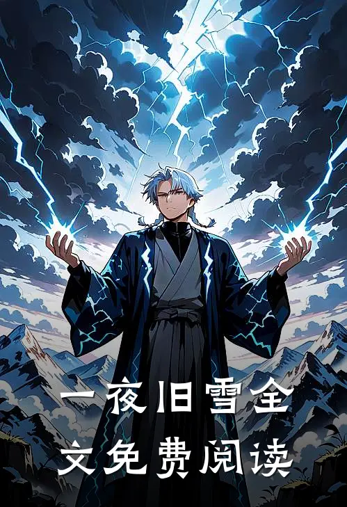 一夜旧雪全文免费阅读