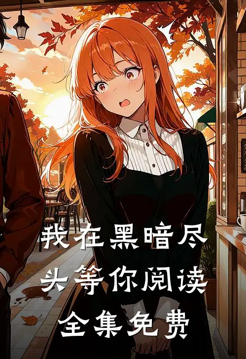 我在黑暗尽头等你阅读全集免费