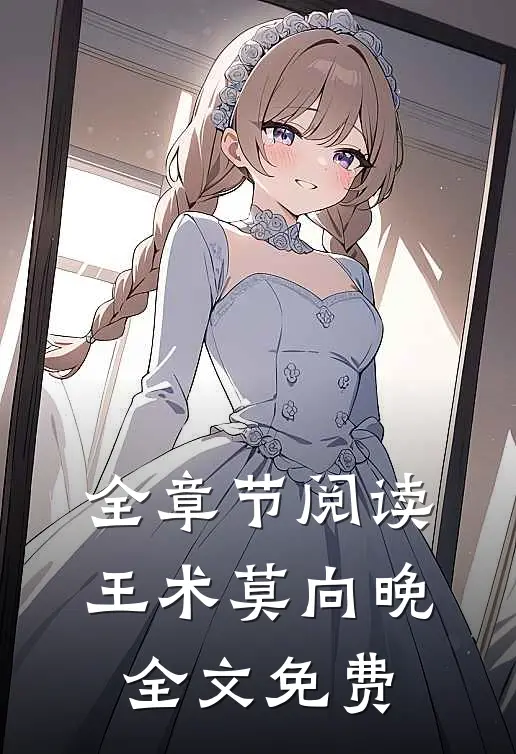 全章节阅读王术莫向晚全文免费