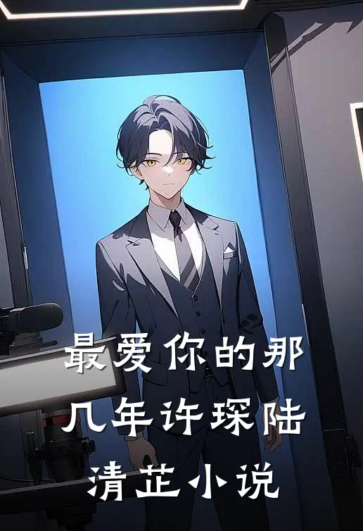 最爱你的那几年许琛陆清芷小说