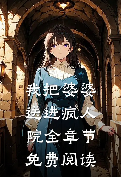 我把婆婆送进疯人院全章节免费阅读