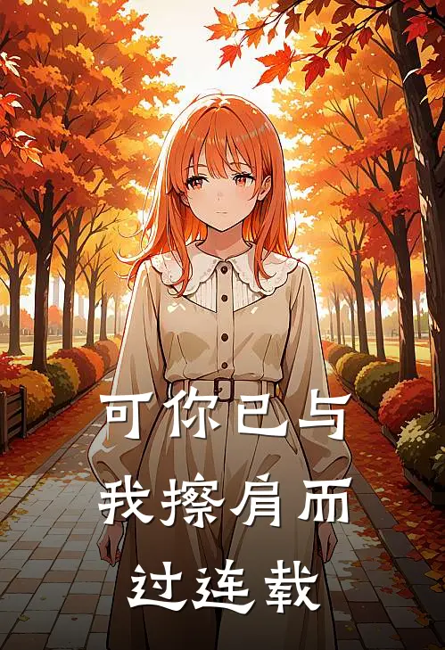 可你已与我擦肩而过连载