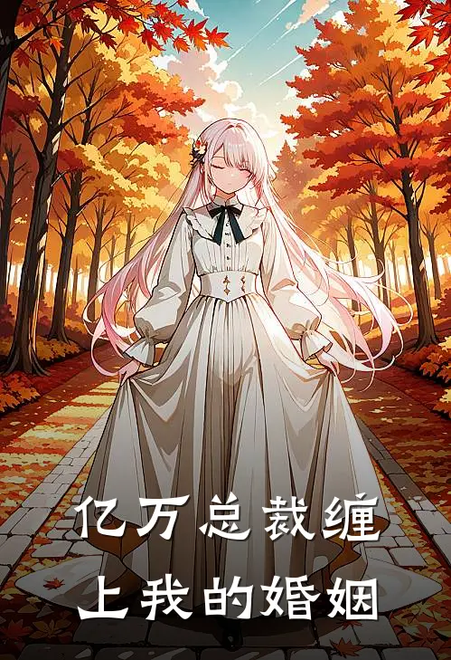 亿万总裁缠上我的婚姻