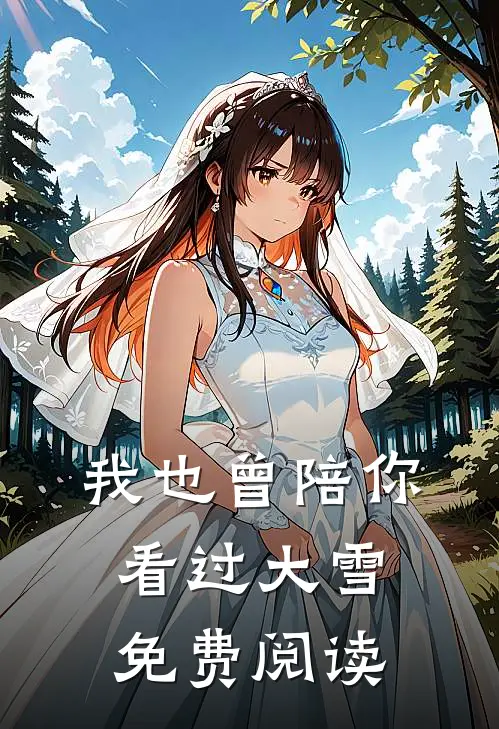 我也曾陪你看过大雪免费阅读