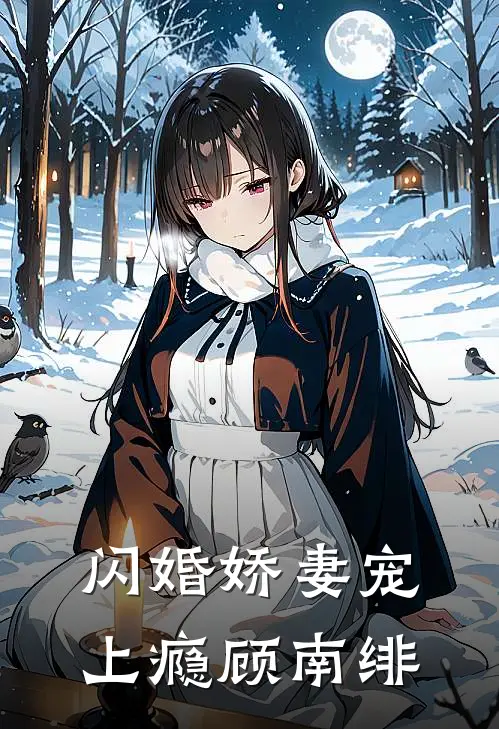 闪婚娇妻宠上瘾顾南绯