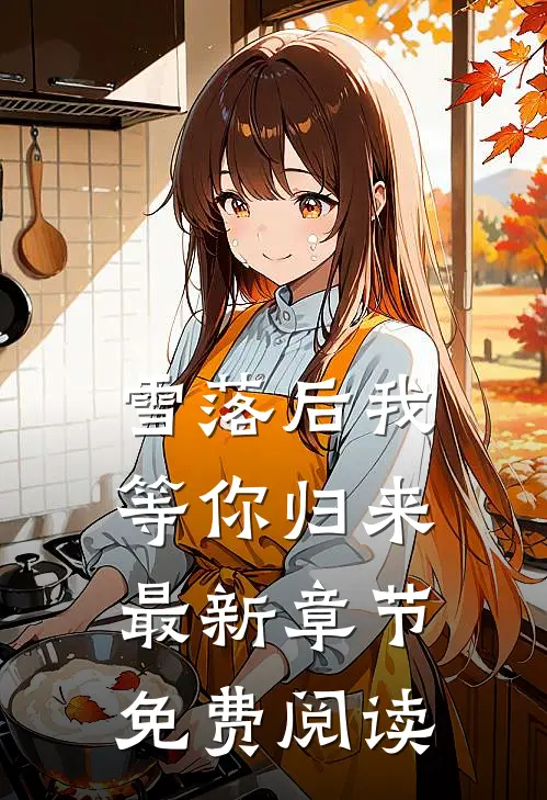 雪落后我等你归来最新章节免费阅读