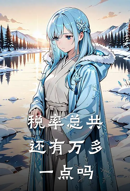 税率总共还有万多一点吗