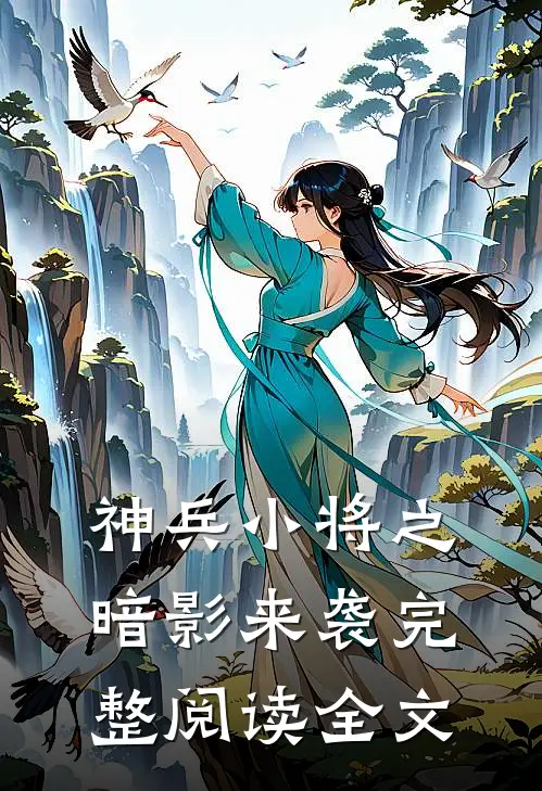 神兵小将之暗影来袭完整阅读全文