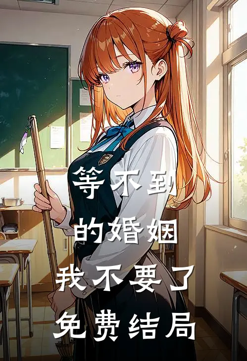 等不到的婚姻，我不要了免费结局