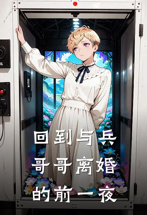 回到与兵哥哥离婚的前一夜