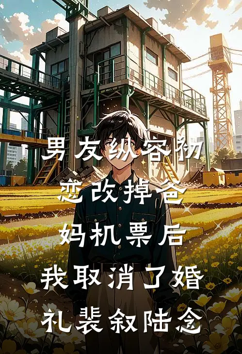 男友纵容初恋改掉爸妈机票后，我取消了婚礼裴叙陆念