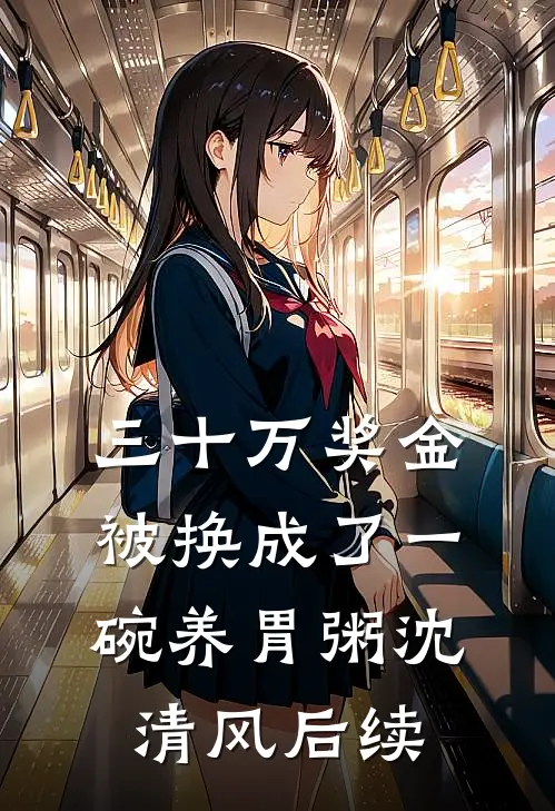 三十万奖金被换成了一碗养胃粥沈清风后续