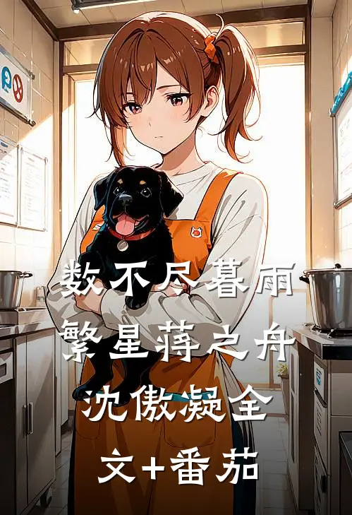 数不尽暮雨繁星蒋之舟沈傲凝全文+番茄