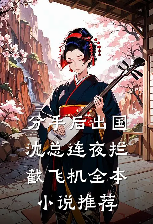 分手后出国，沈总连夜拦截飞机全本小说推荐