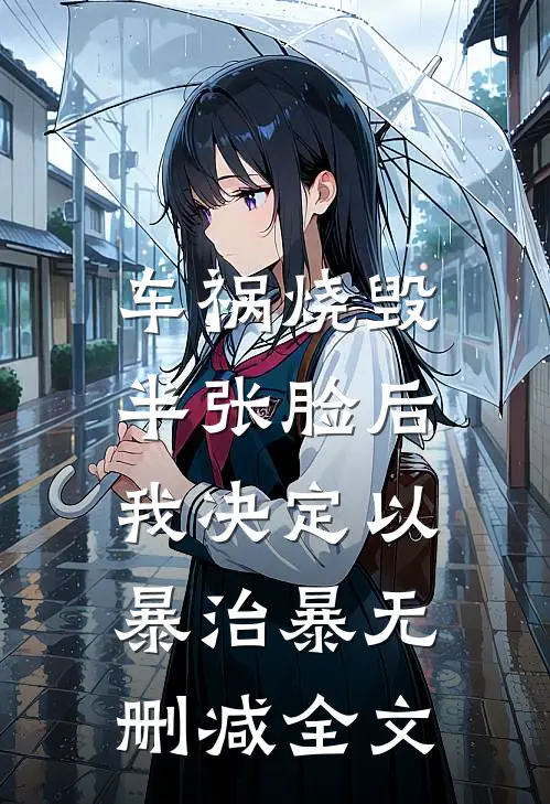 车祸烧毁半张脸后，我决定以暴治暴无删减全文