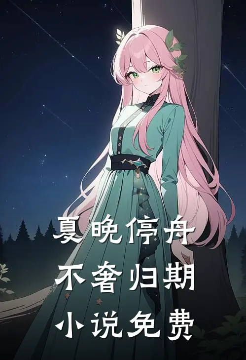 夏晚停舟，不奢归期小说免费