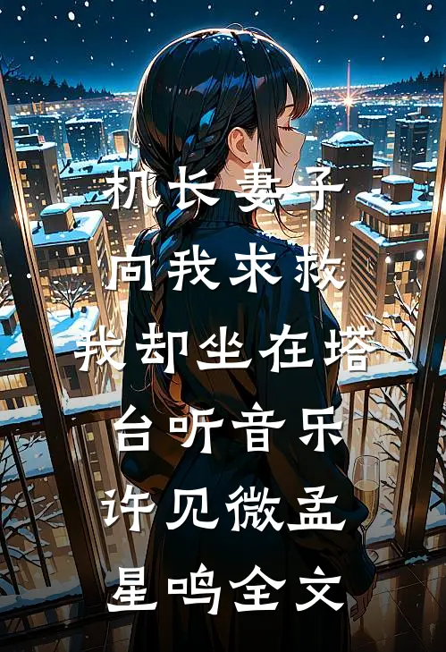 机长妻子向我求救，我却坐在塔台听音乐许见微孟星鸣全文