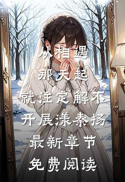 从相遇那天起，就注定解不开展漾秦扬最新章节免费阅读
