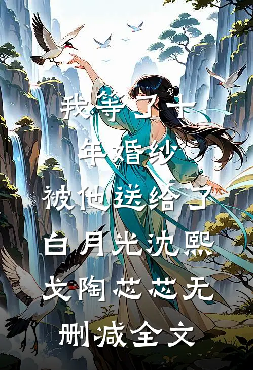 我等了十年婚纱，被他送给了白月光沈熙戈陶芯芯无删减全文