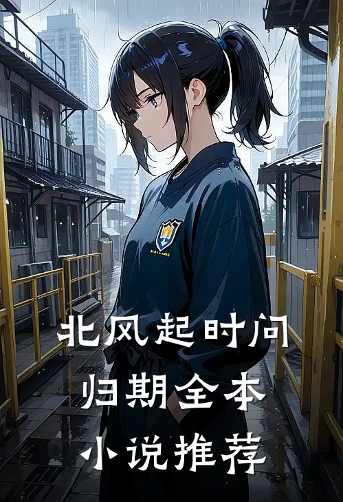 北风起时问归期全本小说推荐
