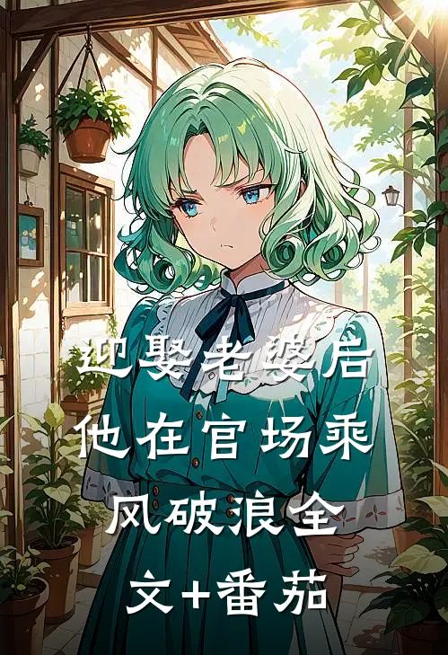 迎娶老婆后，他在官场乘风破浪全文+番茄