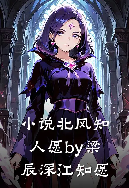 小说北风知人愿by梁辰深江知愿