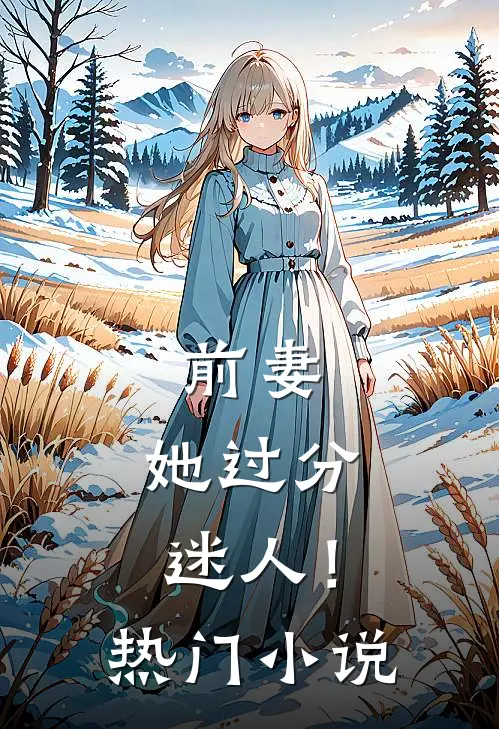 前妻，她过分迷人！热门小说