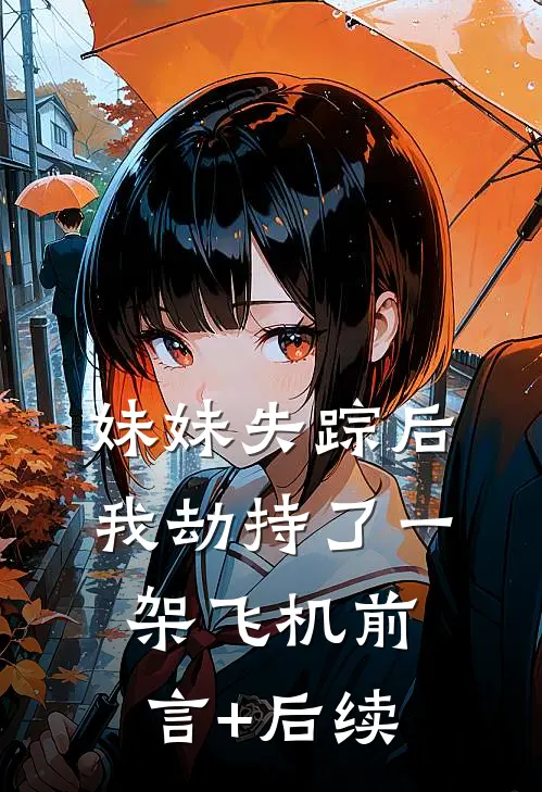 妹妹失踪后，我劫持了一架飞机前言+后续