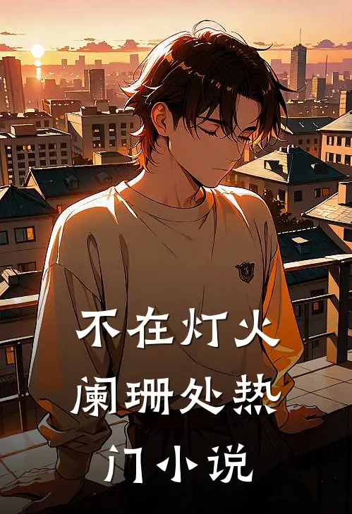 不在灯火阑珊处热门小说