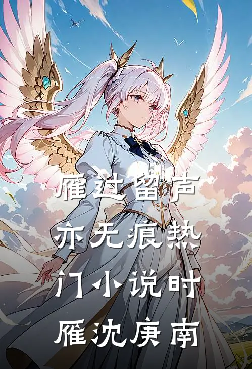 雁过留声亦无痕热门小说时雁沈庚南