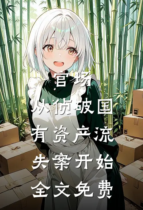 官场：从侦破国有资产流失案开始全文免费