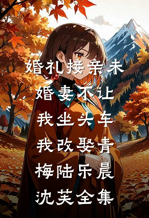 婚礼接亲未婚妻不让我坐头车，我改娶青梅陆乐晨沈芙全集