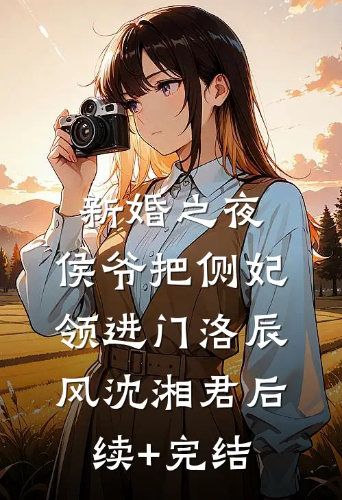 新婚之夜，侯爷把侧妃领进门洛辰风沈湘君后续+完结