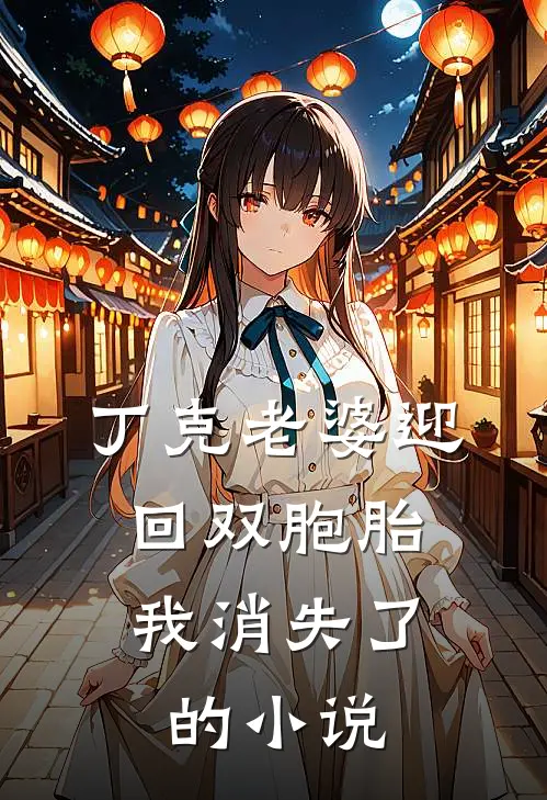 丁克老婆迎回双胞胎，我消失了的小说