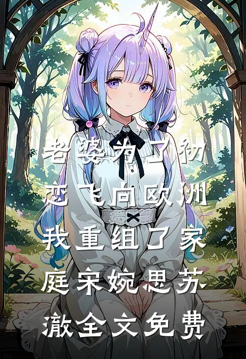 老婆为了初恋飞向欧洲，我重组了家庭宋婉思苏澈全文免费