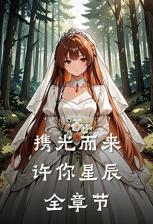 携光而来许你星辰全章节