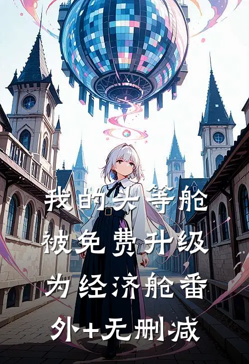 我的头等舱被免费升级为经济舱番外+无删减