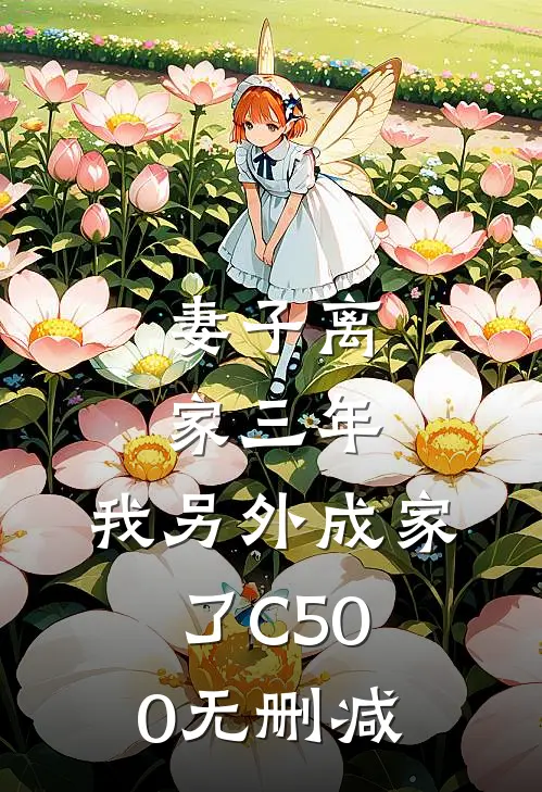 妻子离家三年，我另外成家了C500无删减