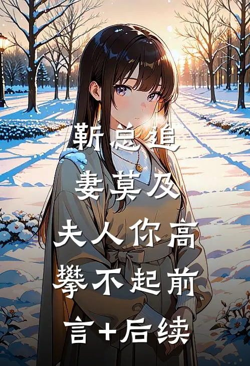 靳总追妻莫及，夫人你高攀不起前言+后续