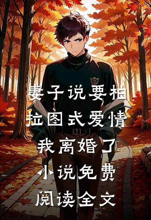 妻子说要柏拉图式爱情，我离婚了小说免费阅读全文