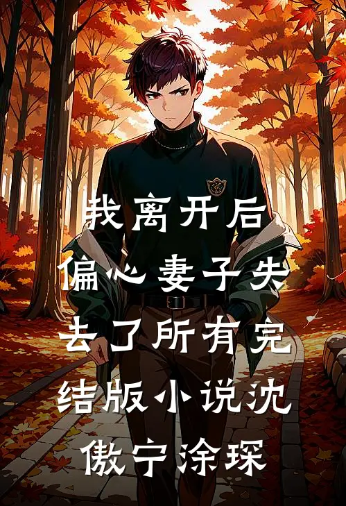 我离开后，偏心妻子失去了所有完结版小说沈傲宁涂琛
