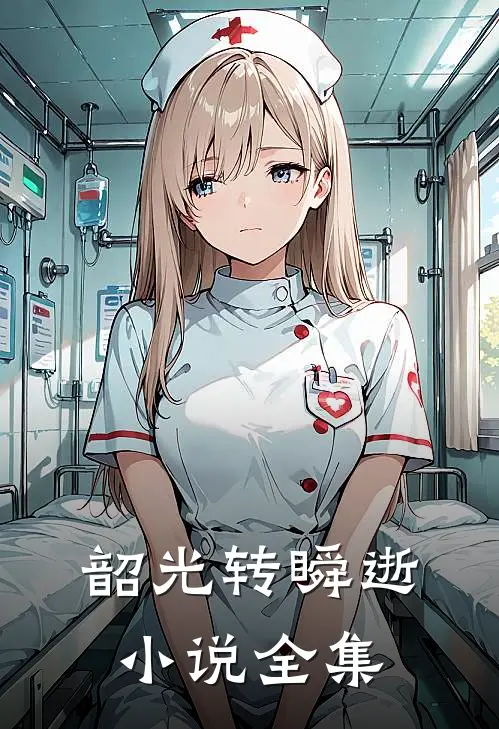 韶光转瞬逝小说全集