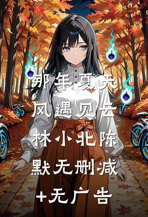 那年夏天，风遇见云林小北陈默无删减+无广告