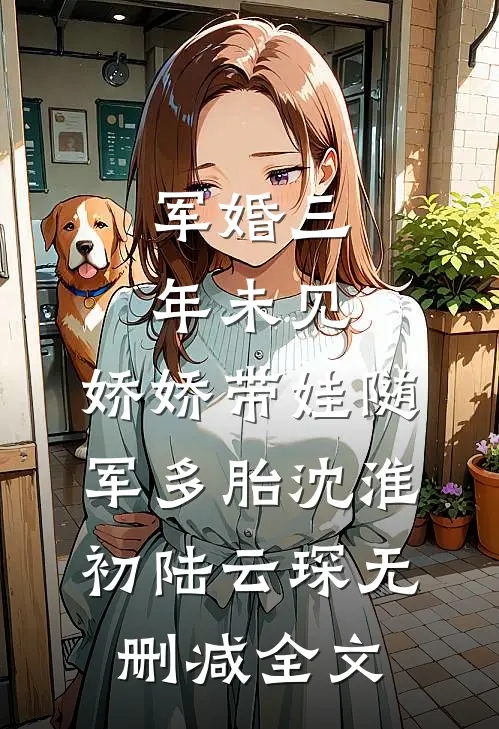 军婚三年未见，娇娇带娃随军多胎沈淮初陆云琛无删减全文