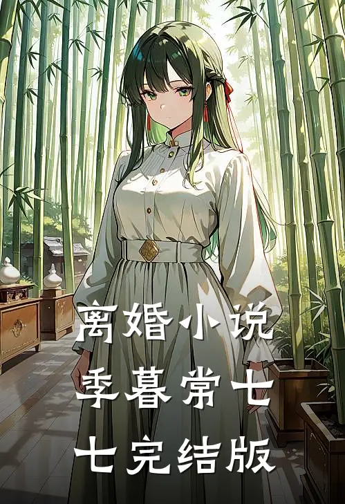 离婚小说季暮常七七完结版