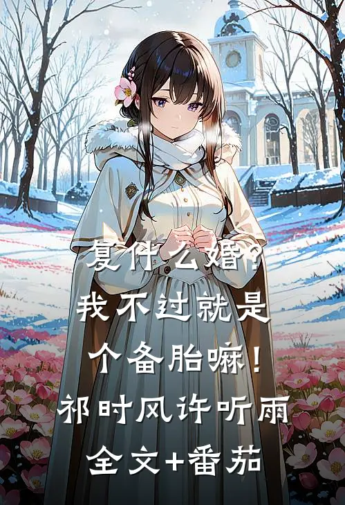 复什么婚？我不过就是个备胎嘛！祁时风许听雨全文+番茄